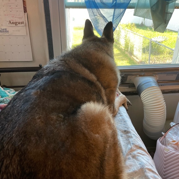 Hatchimom Live -host appreciation 11:20 am central - Picture 14 of 16